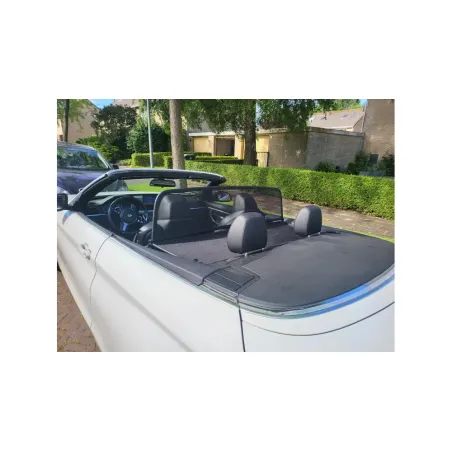 Deflector de Viento para BMW Serie 4 F33 (2013 en adelante)