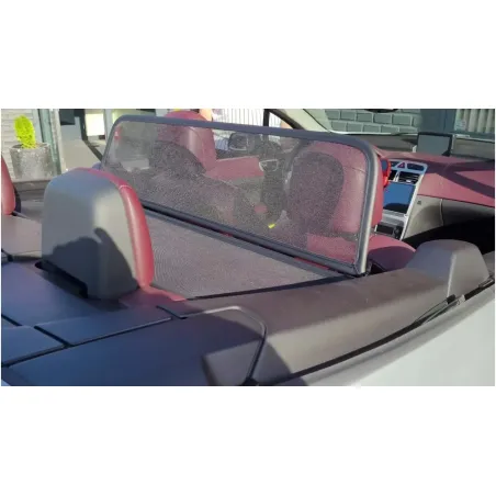 Deflector de Viento para Peugeot 307 (2003-2009)